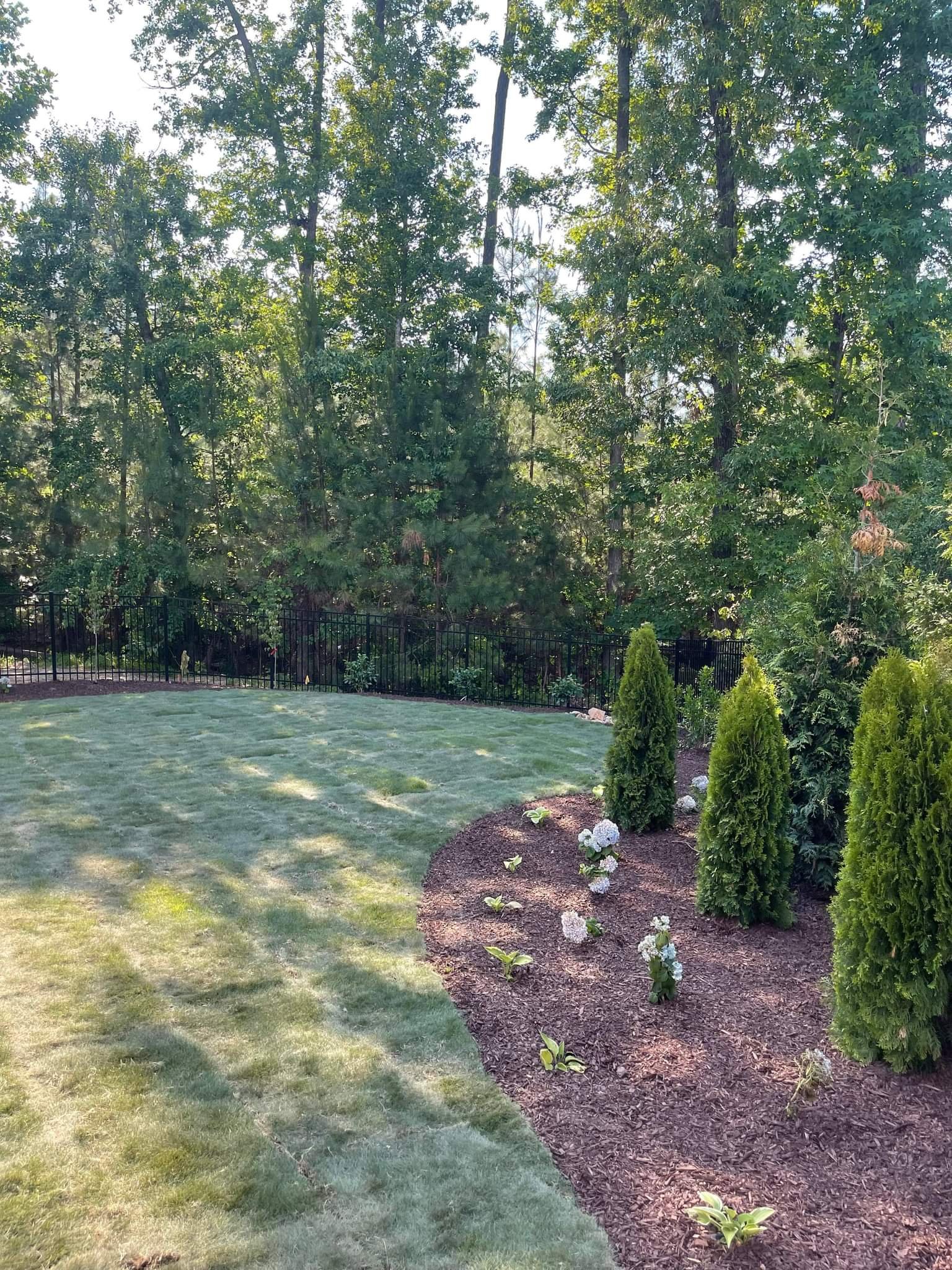 Front Yard Design